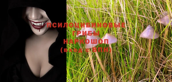 PSILOCYBIN Володарск