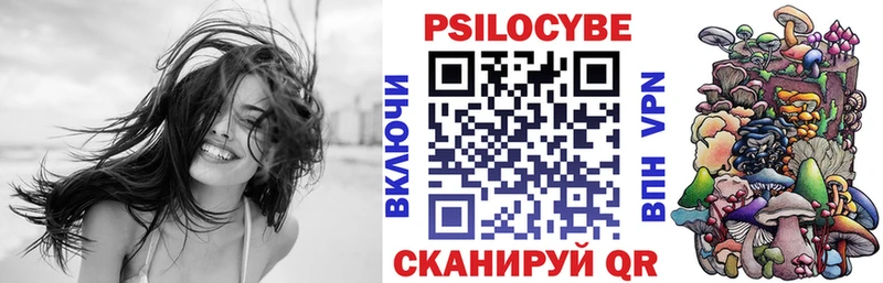 дарнет шоп  Глазов  Псилоцибиновые грибы Psilocybine cubensis 